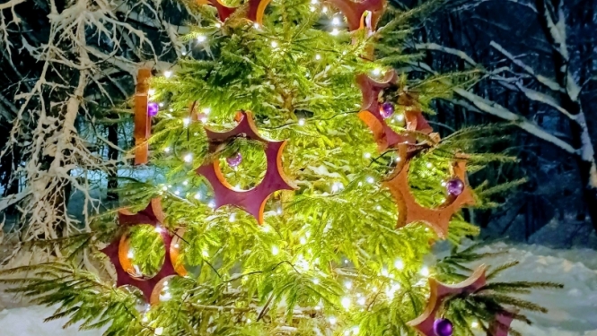 11