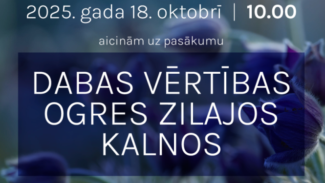 Afiša ekskursijai "Dabas vērtības Ogres Zilajos kalnos". Afišā fonā violeti ziedi