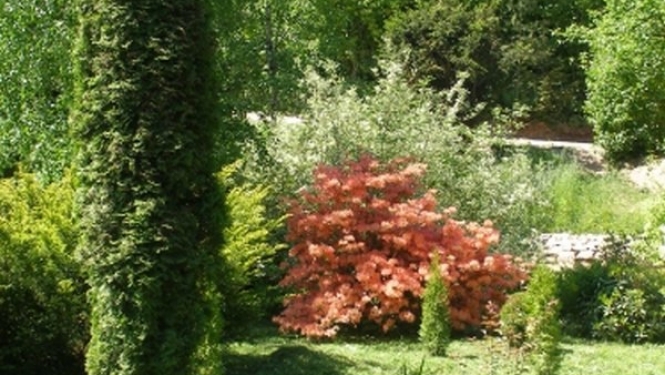 Dendroloģiskais dabas parks Lazdukalni