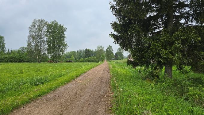 Nekustamā īpašuma “Ziediņi”, Mazozolu pagasts, Ogres novads, atsavināšanas izsole