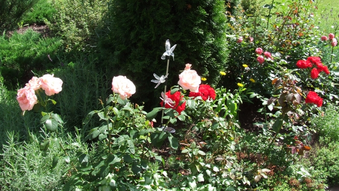 Konkurss "Sakārtotākais namīpašums" 2011