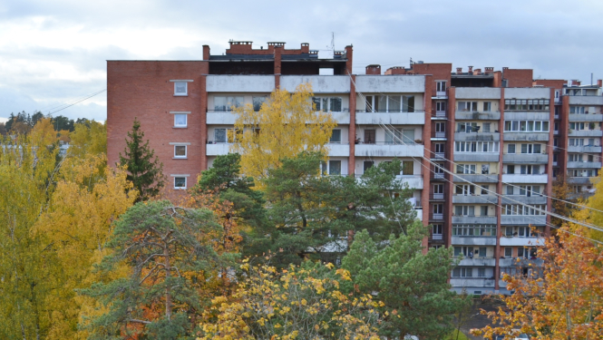 Prusaku apkarošana dzīvokļos – ieteikumi iedzīvotājiem