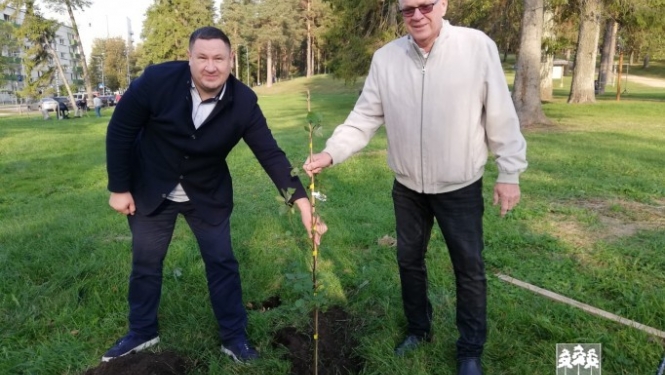 Atjauno mežaudzi Zilo kalnu pakājē (02.10.2020.)