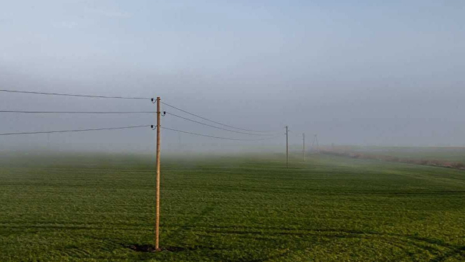 Zaļš lauks ar elektrības stabiem un vadiem