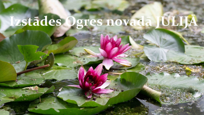 Izstādes Ogres novadā jūlijā - titulattēls - rozā ūdensrozes dīķī