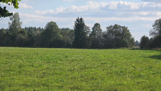 Iznomā Ogres novada pašvaldībai piekrītošās zemes vienības “Krieviņi”, Suntažu pag., Ogres nov., kadastra apzīmējums 7488 003 0515, daļu 3,17 ha platībā 