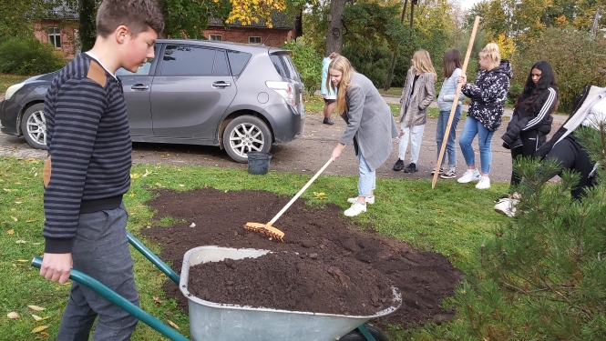 Meža dienu projektā pilnveidota Suntažu ainava