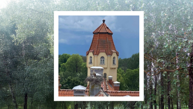 Brošūras "Ogres novada senioru spēka formulas" pirmais - vāka noformējums