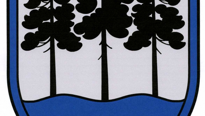 Apstiprināta pašvaldības reorganizācijas plāna konstatējuma daļa