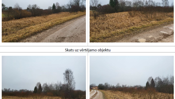 Nekustamā īpašuma “Tumšais purvs” un “Pagasta zeme”, Mazozolu pagastā, Ogres novadā daļu iznomāšanu lauksaimniecības vajadzībām