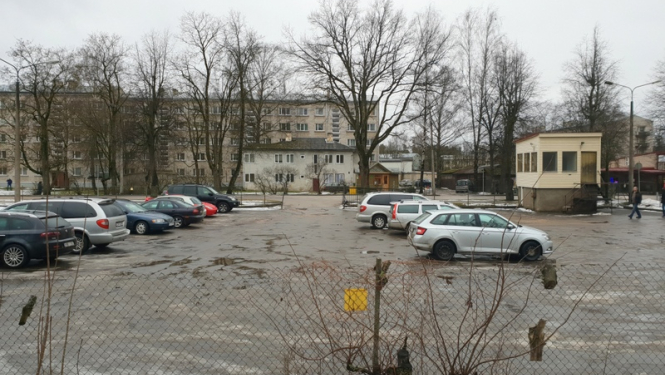Paziņojums par publisko apspriešanu koku ciršanu Skolas ielā, Ogrē