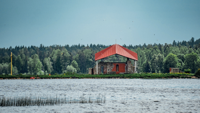 Sv. Meinarda sala Ikšķilē. Speciālisti aicina Ogres novada iedzīvotājus un viesus saudzēt dabu un līdz 15. jūlijam nedoties uz Svētā Meinarda salu Daugavā Ikšķilē, kur šobrīd ligzdo savvaļas putni.