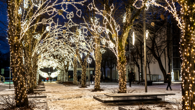 Izgaismota liepu aleja Ogrē