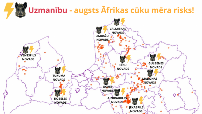 Latvijas karte ar novadiem, kur ir augsts Āfrikas cūku mēra risks