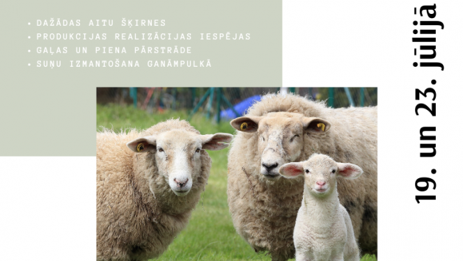 Aitas plakāts 