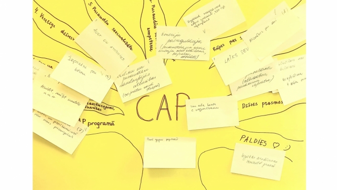 cap