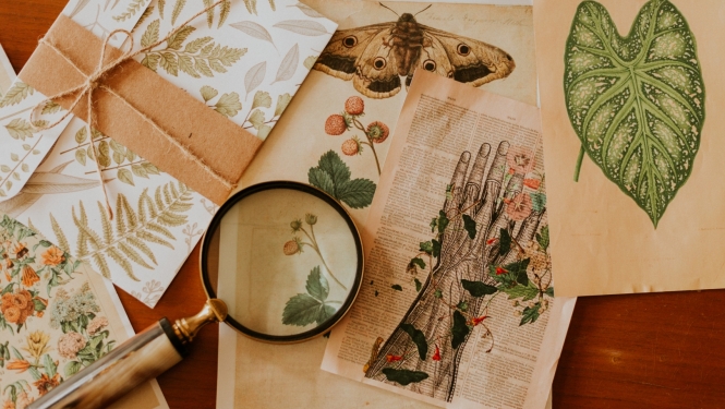 Izglītības pārvaldes aicina darbā Izglītības metodiķus