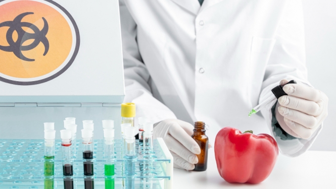 GMO produkti