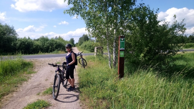 Greenway projekts