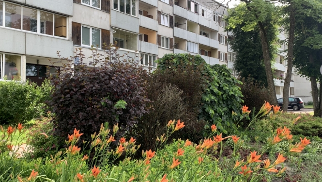 Ziedi, iekšpagalms, daudzdzīvokļu nams