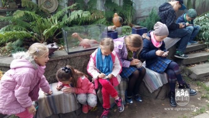 Karjeras nedēļā Ogres novadā piedalījušies 2918 jaunieši