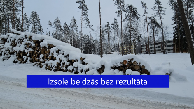 Apsnigusi malkas kaudze Sūnu iela 2, Ogrē izsole bez rezultāta