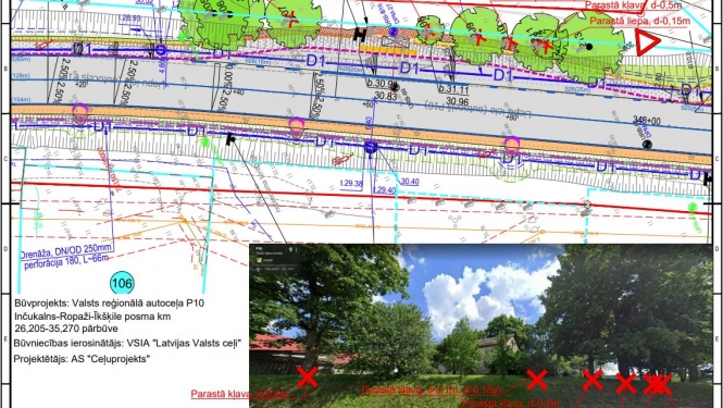 KOKU CIRŠANAS PLANS TINUZI 09082022