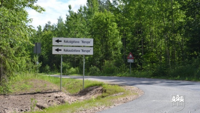 Kokzāģētava "Norupe"