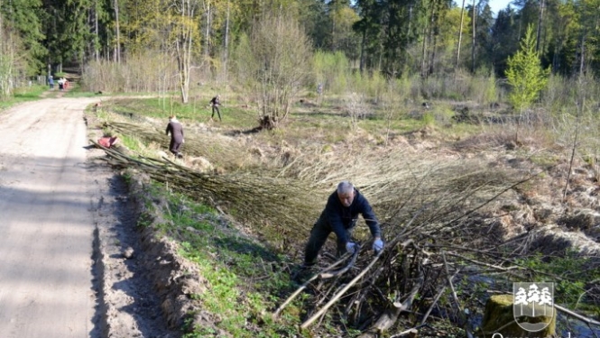 Lielā talka Ogrē 2014