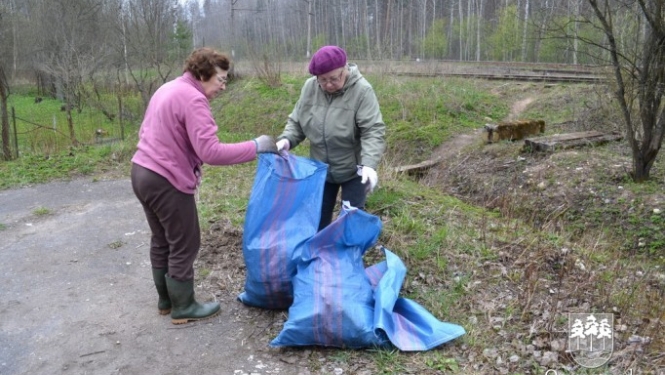 Lielā talka 2015 Ogrē
