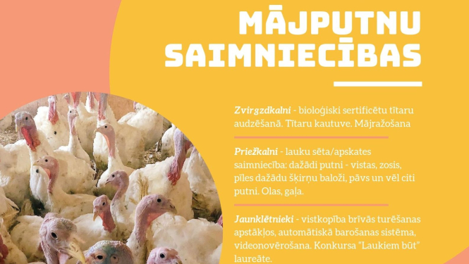 Aicina apmeklēt mājputnu audzēšanas saimniecības Vidzemē
