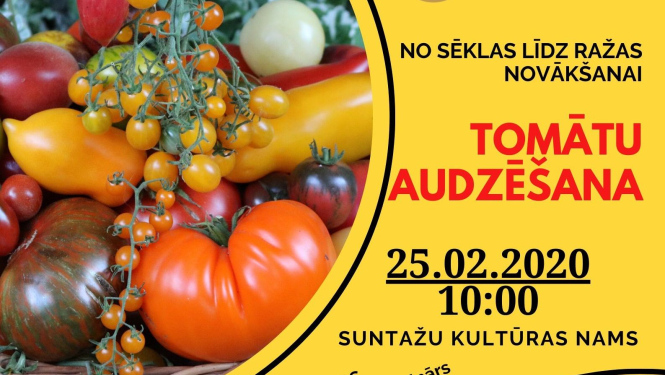 LLKC aicina uz informatīvu bezmaksas semināru par tomātu audzēšanu