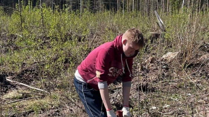 Ogresgala pamatskolas skolēni atjauno mežu Rembatē 22.04.2023.