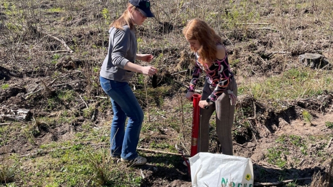 Ogresgala pamatskolas skolēni atjauno mežu Rembatē 22.04.2023.