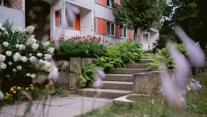 Daudzdzīvokļu mājas Ogrē, Meža prospektā 6, pagalms ar kāpnēm un ziedošiem augiem