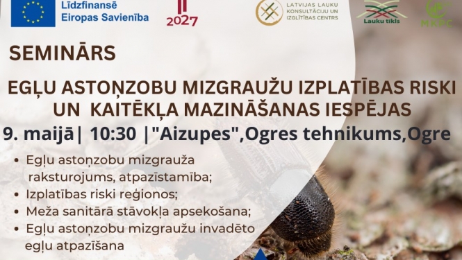 Plakāts semināram “Egļu astoņzobu mizgrauža izplatība, kaitēkļa mazināšanas iespējas, aktualitātes saistībā ar izsludināto ārkārtas situāciju”