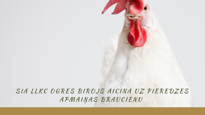 Aicina pieredzes apmaiņas braucienā par mājputnu ēdināšanu