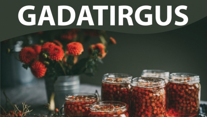 Rudens gadatirgus Ogrē