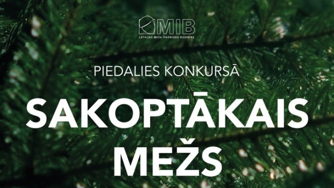 Konkurss Sakoptākais mežs 2023 plakāts