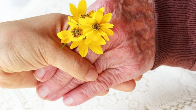 Sveicam novada seniorus!