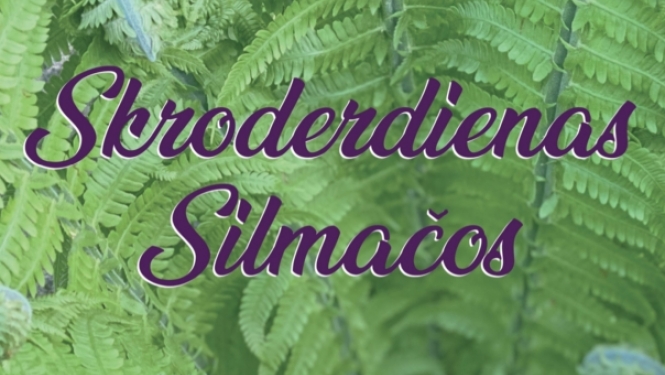 Afiša Ogres teātra izbraukuma izrādei "Skroderdienas Silmačos"