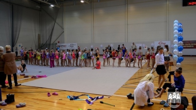 Turnīrs mākslas vingrošanā "Sniegpārsliņas kauss 2014"