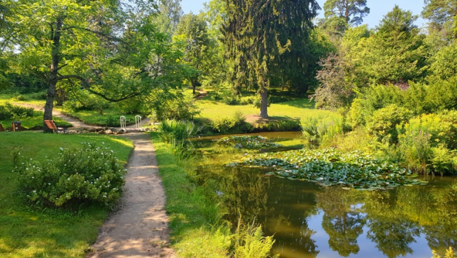 Špakovska parkā tiks papildināti stādījumi