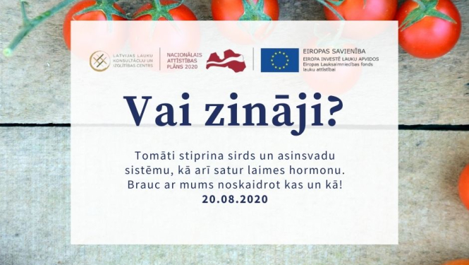 Apmaiņas brauciens uz tomātus audzējošām un pārstrādājošām saimniecībām