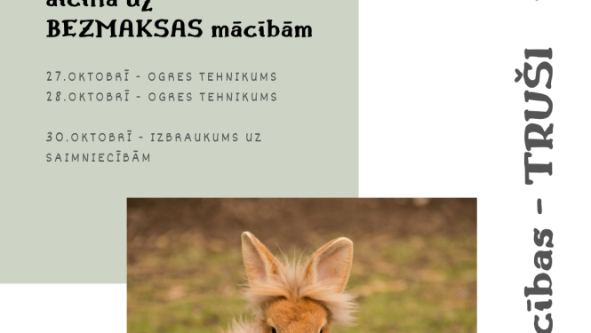 LLKC Ogres birojs aicina uz bezmaksas mācībām par trušiem