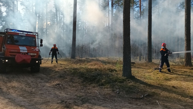 1. maijā stājas spēkā ugunsnedrošais laikaposms Latvijas mežos