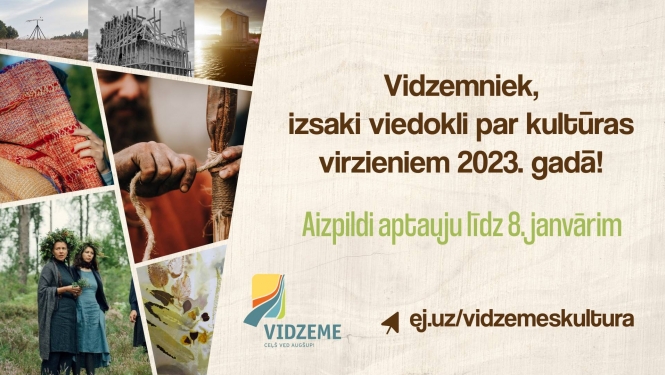 Balsojuma vizuālis