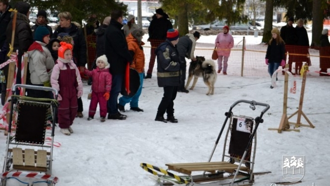 Ziemas Sporta svētki 2013