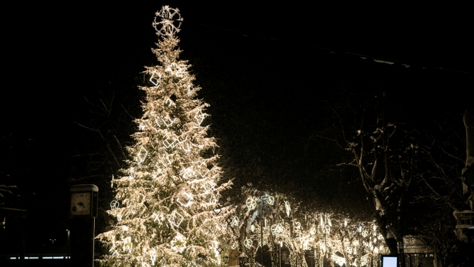 Ziemassvētku egles iedegšana Ogrē 03.12.2023.
