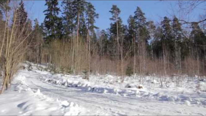 OGRE: izvēlēta vieta skolas jaunās ēkas būvniecībai (09.02.2017.)